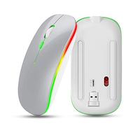 BROLEO Souris rechargeable, souris sans fil, pour XP (Silver)