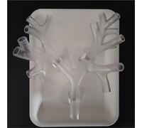 Bronchoscope Modèle Anatomique Arbre Bronchique Résine Outil de Formation pour Éducation Médicale et Infirmière Étudiants