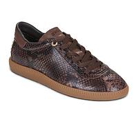 Bronx Baskets basses BOB-BIE 66594 in Marron 39