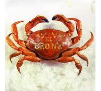 Bronx the - Mariachi El Bronx [Import]