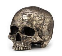 Bronze Finish Craniumography Old Treasure Map On Skull Statue