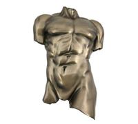 Bronze Finish Nude Male Torso Wall Hanging Figure Anatomy