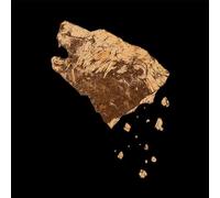 Crippled Black Phoenix Bronze (CD) Deluxe Album