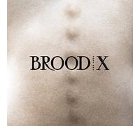Brood X