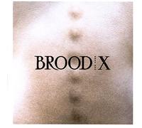 Brood X