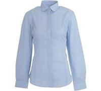 Brook Taverner Trevi - Chemise à manches longues - Femme (FR 40) (Bleu ciel) - UTPC2638 Bleu Ciel