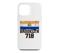 Brooklyn 718 Drapeau de Code régional NYC Borough Pride Grunge Coque pour iPhone 13 Pro Max