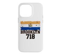 Brooklyn 718 Drapeau de Code régional NYC Borough Pride Grunge Coque pour iPhone 14 Pro Max