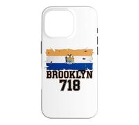 Brooklyn 718 Drapeau de Code régional NYC Borough Pride Grunge Coque pour iPhone 16 Pro