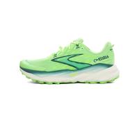 Brooks Cascadia 19 Homme 44.5