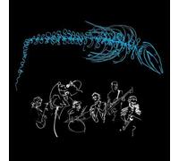 Under Bones of The Blue Whale