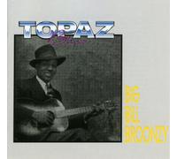 Broonzy, Big Bill - Big Bill's Blues