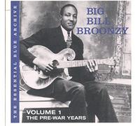 Big Bill Broonzy - Pre War Years [Import]