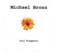 Bross, Michael - Soul Fragments