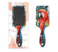 Brosse à cheveux aquarelle perroquet tropical floral humide sec coussin d'air brosse à cheveux démêlante en plastique pour enfants adultes cadeau de rentrée scolaire femme homme