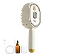Brosse À Cheveux Avec Spray D'Eau Peigne Lisseur Spray Portable