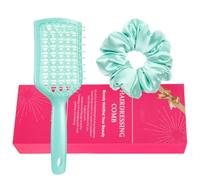 Brosse à cheveux démêlante anti-statique avec chouchous pour cheveux secs ou mouillés
