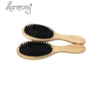 Brosse À Cheveux Professionnelle Antistatique,À Palette,En Poils De Sanglier,12 Pièces - Type Varnish Color