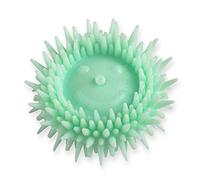 Brosse à dents à mâcher Rollybrush | Mini brosse à poils doux | Haleine fraîche et propre et des dents plus blanches lors de vos déplacements | Idéale pour les enfants de plus de 7 ans | Nettoyage facile | Testée cliniquement, lutte contre la plaque dentaire