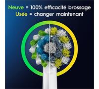 Brosse À Dents Électrique Oral-B Pro 1 Duo Bleue/Noire