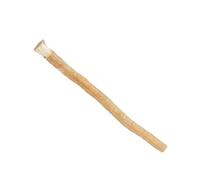 Brosse à dents en bâton naturel pour l' du Moyen-Orient | Brosse à dents pour la santé des gencives pour homme et femme pour la maison, les voyages, le quotidien, le bureau
