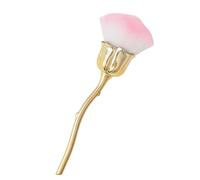 Brosse à ongles professionnelle Rose Designs Pinceaux pour un nettoyage efficace et un retrait de poudre dans la manucure Pinceau à long manche