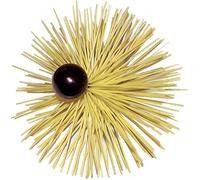 Brosse à poils en nylon pour nettoyage - ExpertByNet - Diamètre 150mm - Raccord femelle 12x175