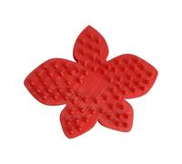 Brosse à récurer pour chien - Forme pétale pour un démêlage en douceur - Accessoire de Toilettage pour Chien | Pour Chiots Chiens Chats à Domicile ou en Voyage