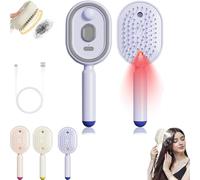 Brosse à Vapeur éLectrique, Usb Brosse Avec PulvéRisateur D'Eau, Outil De Brossage Avec Massage - Pour Cheveux BoucléS, OnduléS Lisses - Peigne DéMêLant Antistatique 3 En 1 Et Massage Coussin D'Air
