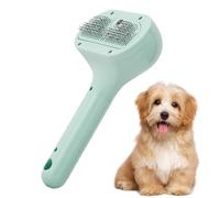 Brosse À Vapeur Pour Chat - Nettoyage Efficace, Brosse De Massage À Vapeur Pour Chat | Brosse De Toilettage Portable Pour Chat | Brosse À Chat En Spray | Brosse À Eau Douce Pour Chat | Brosse Pour Ani