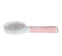 Brosse BI matière 21 cm pour chats - zolux