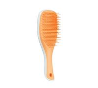 Brosse Cheveux TANGLE TEEZER Démêlant Mini Straight-Curly Glace Bleu & Orange