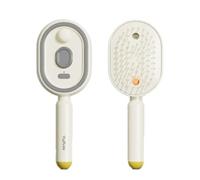 Brosse Cheveux Vapeur 3 En 1 Rechargeable Sans Fil, Brosse Cheveux BoucléS Avec Spray, Peigne Cheveux DéMêLant Antistatique Avec Massage à Coussin D’Air Pour Maison, Voyage Et Coiffage Quotidien