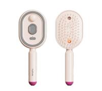 Brosse Cheveux Vapeur 3 En 1 Rechargeable Sans Fil, Brosse Cheveux BoucléS Avec Spray, Peigne Cheveux DéMêLant Antistatique Avec Massage à Coussin D’Air Pour Maison, Voyage Et Coiffage Quotidien