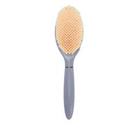 Brosse de Corps à épurateur à Pied, Brosse à Tête Incurvée pour Nettoyage de Bain, Nettoyeur de Pied Portable de Voyage, Matériaux ABS & PA, Poils Doux pour le Nettoyage en (Gris)