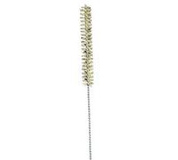 Brosse de nettoyage Eheim 9/12mm Beige 1 m