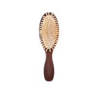 Brosse de Voyage