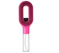 Brosse DéMêLante 2 En 1 Avec Brume IntéGréE Brosse à cheveux brumisateur 2 en 1 avec jet d'eau intégré, brosse démêlante for secs et humides, pulvérisateur brume fine(Red)