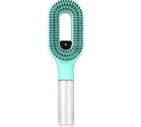 Brosse DéMêLante 2 En 1 Avec Brume IntéGréE Brosse à cheveux brumisateur 2 en 1 avec jet d'eau intégré, brosse démêlante for secs et humides, pulvérisateur brume fine(Green)