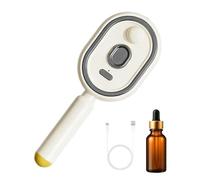 Brosse Démêlante Électrique Vapeur Pour Cheveux Naturels, Lisseur Professionnel Rechargeable Avec Vaporisateur D'Eau Pour Lissage Cheveux Crépus Bouclés