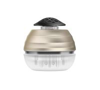Brosse Massage 2 en 1 Applicateur Huile Cheveux, Masseur Cuir Chevelu Pour MéDecine SéRum Aux Huiles Essentielles (Doré)