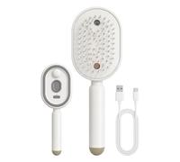 Brosse Massage Cuir Chevelu avec Spray d’Huile, Peigne Démêlant USB-C Rechargeable, Lumière Rouge 650 nm Visible, Réservoir 10 ml, Brosse de Soin et Coiffage Cheveux
