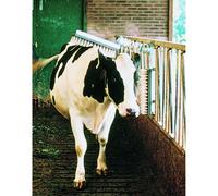 Brosse pour bovins étable à logette Vink Argenté TU