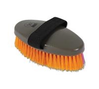 Brosse pour cheval avec présentoir de vente Waldhausen (x12) Multicolore TU