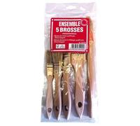 Brosse professionnel norme fsc lot de 5