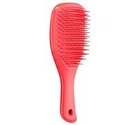 Tangle Teezer | The Mini Wet Detangler Hairbrush for Wet & Dry Hair | Perfect for Kids & Traveling | Eliminates Knots & Reduces Breakage | Pink Punch