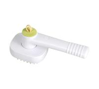 Brosse Vapeur Pour Chats Peigne Rechargeable Doux À Brume De Vapeur