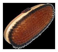 Vola Oval Bras/horsehair Brush Doré