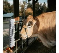 Brosses à bétail murales 50x10x6.5 cm