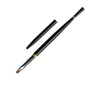 Brosses à ongles en aluminium Outils professionnels pour ongles détaillés Création d'art pour débutants et experts Beauté Pinceau d'art essentiel à queue de poisson
